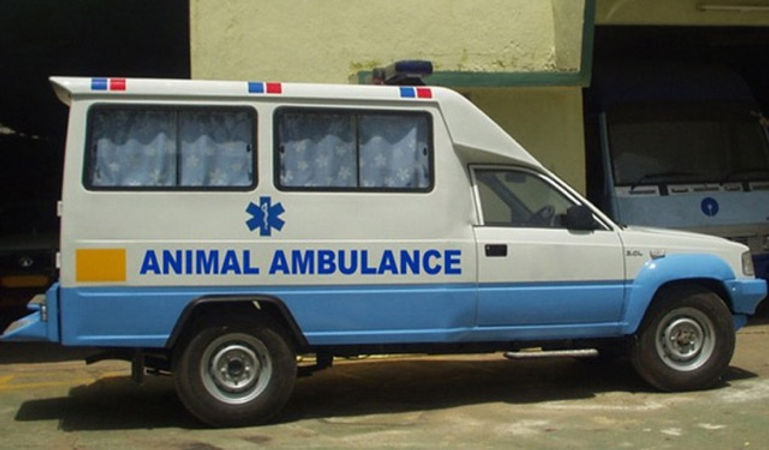 Pet ambulance Bangalore