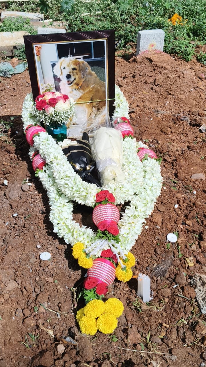 Pet burial Bangalore
