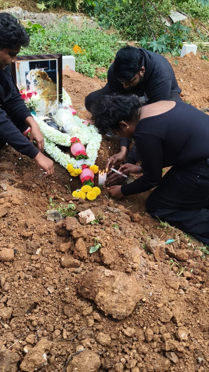 Pet funeral pooja Bangalore